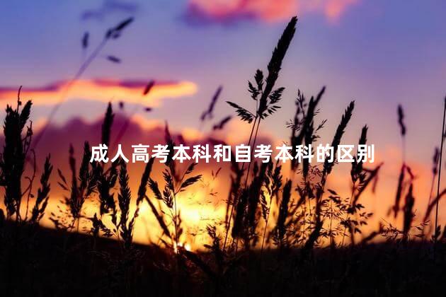 成人高考本科和自考本科的区别