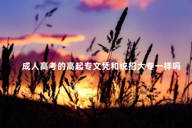 成人高考的高起专文凭和统招大专一样吗