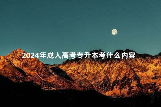 2024年成人高考专升本考什么内容