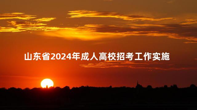 山东省2024年成人高校招考工作实施办法公布