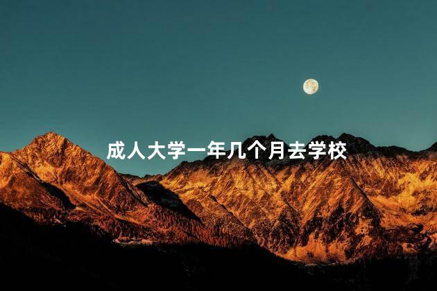 成人大学一年几个月去学校