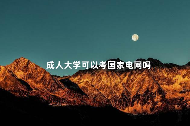 成人大学可以考国家电网吗