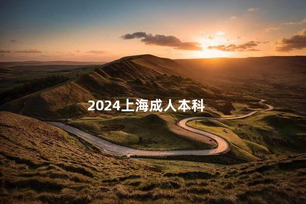 2024上海成人本科