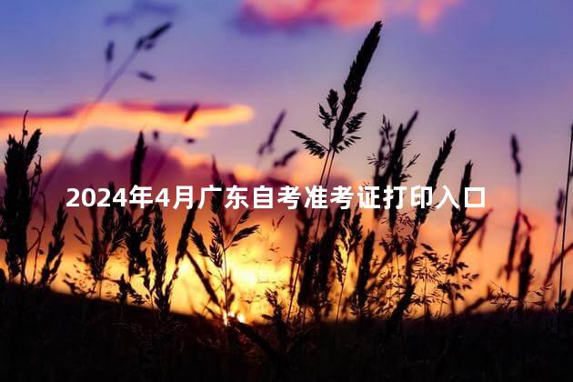 2024年4月广东自考准考证打印入口