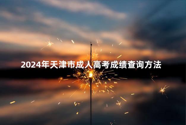 2024年天津市成人高考成绩查询方法