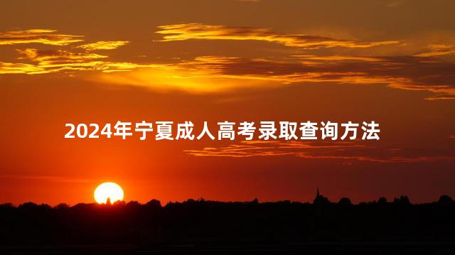 2024年宁夏成人高考录取查询方法