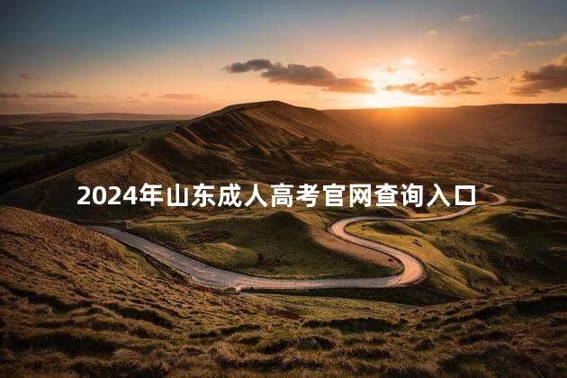 2024年山东成人高考官网查询入口