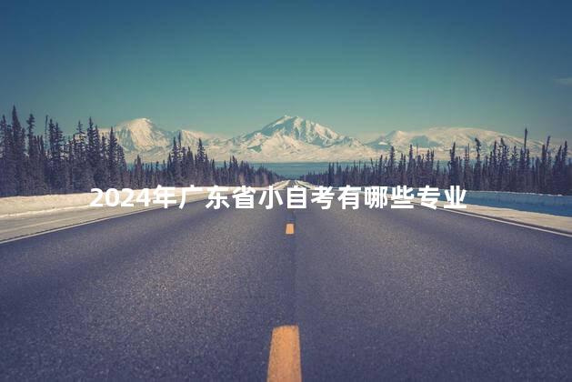 2024年广东省小自考有哪些专业