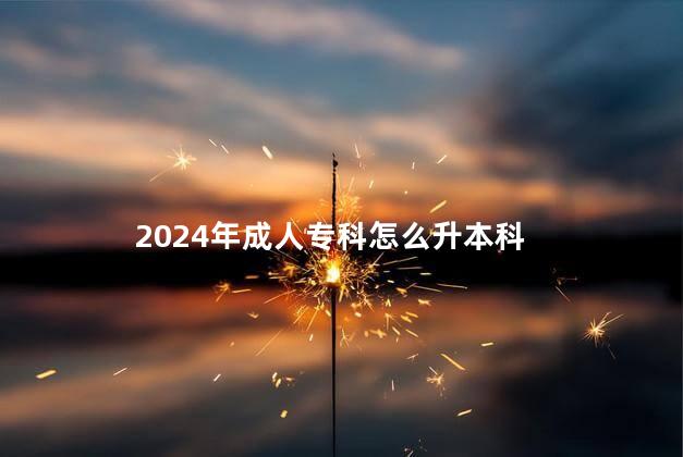 2024年成人专科怎么升本科