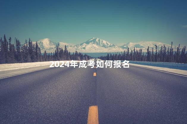 2024年成考如何报名