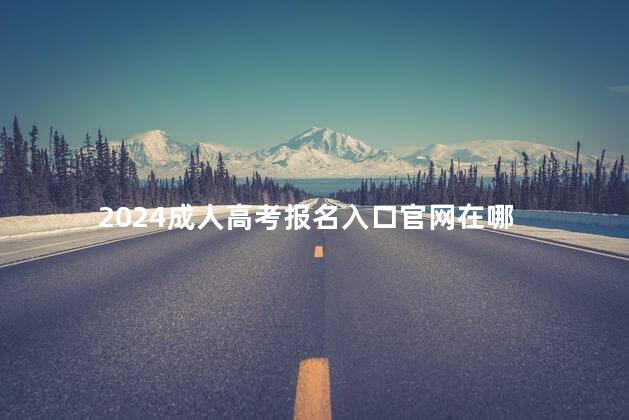 2024成人高考报名入口官网在哪