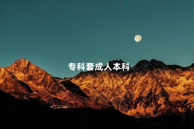 专科套成人本科