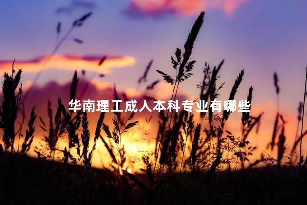 华南理工成人本科专业有哪些