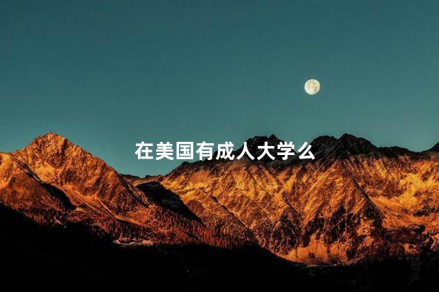 在美国有成人大学么