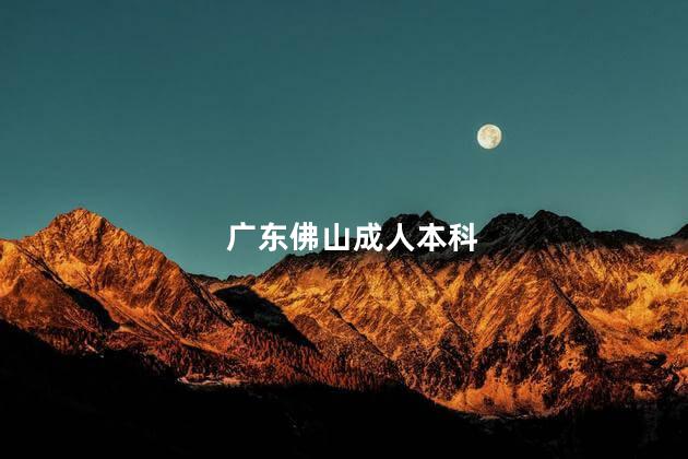 广东佛山成人本科