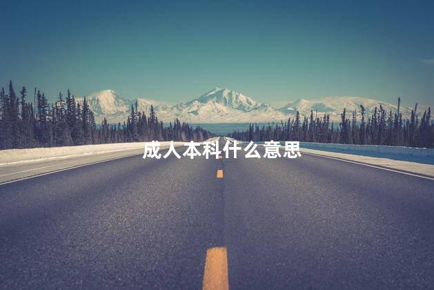 成人本科什么意思