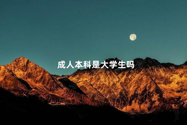 成人本科是大学生吗