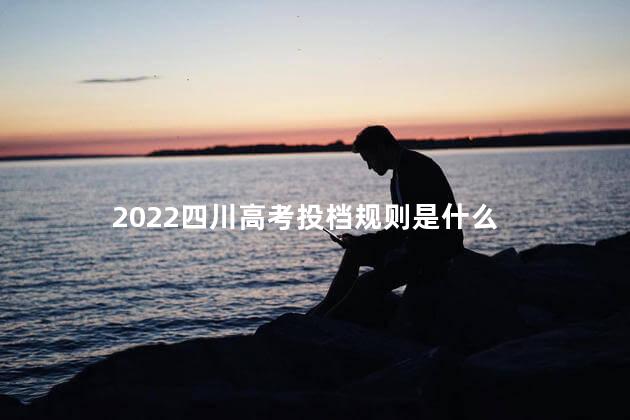 2022四川高考投档规则是什么