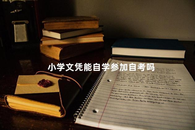 小学文凭能自学参加自考吗