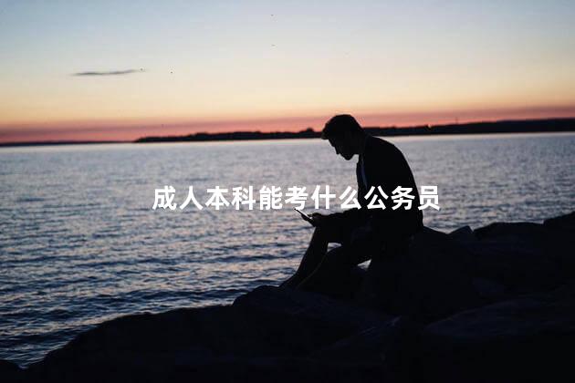 成人本科能考什么公务员