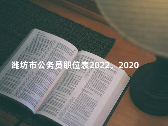 潍坊市公务员职位表2022，2020年山东省潍坊市公务员职位表